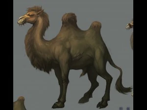 low poly 3d characters-camel 3D Model