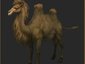 low poly 3d characters-camel 3D Model