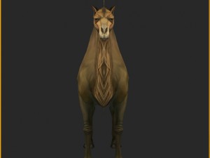 low poly 3d characters-camel 3D-Modell
