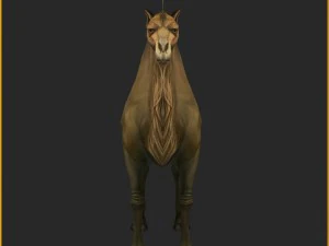 low poly 3d characters-camel 3D Model