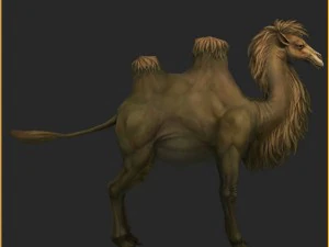 low poly 3d characters-camel 3D Model
