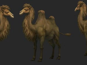 low poly 3d characters-camel 3D Model
