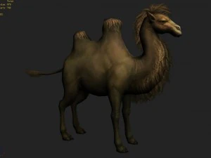 low poly 3d characters-camel 3D Model