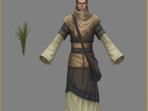 low poly 3d characters-wang mingcao 3D Model