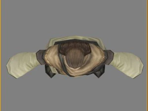 low poly 3d characters-wang mingcao 3D Model