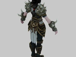 women armor 31 3D Model