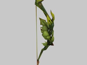 - bows 01 Model 3D