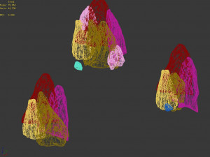 shabak-rockery 3D 모델
