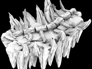 meteor dragon purgatory-section 8 dragon bone 3D Model