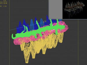 meteorite purgatory-second dragon bone 02 3D Model