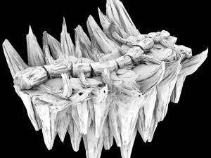 meteor dragon purgatory-section 9 dragon bone Model 3D