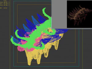 meteoron purgatory-section 6 dragon bone 3D Model
