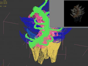 meteorite purgatory-fourth dragon bone 02 3D Model