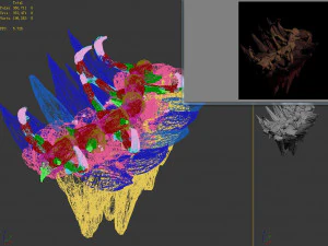 meteor dragon purgatory-section 1 dragon bone 3D Model