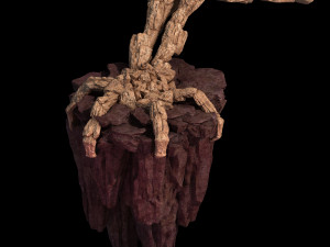 meteor dragon purgatory-claw-rear right Modèle 3D