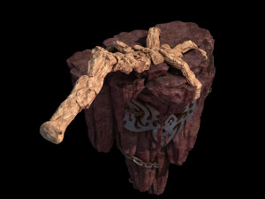 meteorite purgatory-claws-front right 3Dモデル