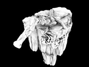 meteorite purgatory-claws-front right 3D Model