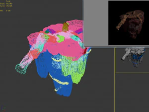 meteorite purgatory-claws-front right 3D Model