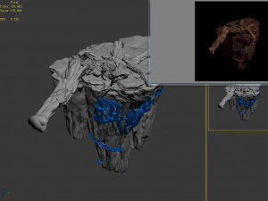 meteorite purgatory-claws-front right 3Dモデル