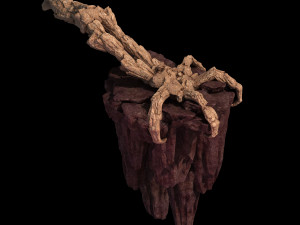 meteorite purgatory-claws-front left 3D Model