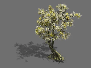 au&szlig;erhalb von chang an city-xinghua 06 3D Modell