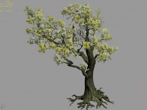 outside chang an city-xinghua 06 Modello 3D