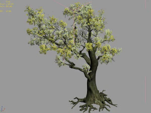 outside chang an city-xinghua 06 3D Model