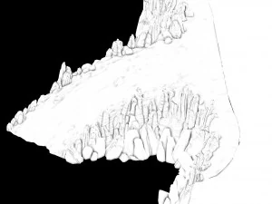 public map-step road-slope 12 3D Model