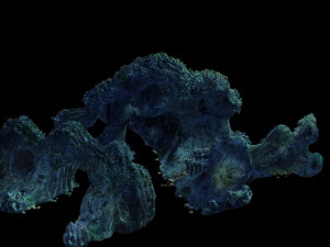 undersea-dragon palace terrain 02 3Dモデル