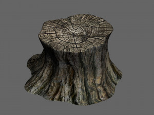 elf-forest-tree city-stump 12 Modèle 3D