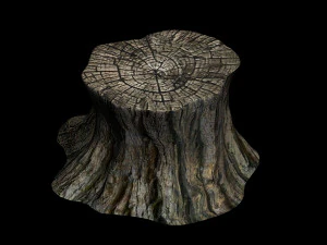 elf-forest-tree city-stump 12 3D Model