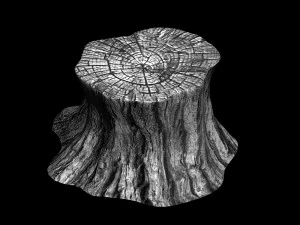elf-forest-tree city-stump 12 3D Model