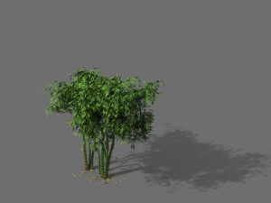 ming dynasty-guozijian-bamboo 12 3D Model