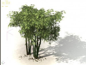 ming dynasty-guozijian-bamboo 12 3D Model