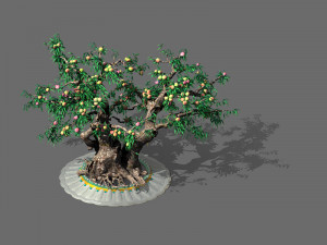three thousand years of flat peach trees Modèle 3D