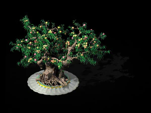 tr&ecirc;s mil anos de pessegueiros planos Modelo 3D