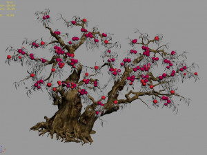 three thousand years of flat peach trees 3D Model