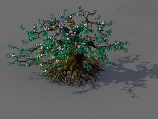 9 thousand years of flat peach tree Modelo 3D .c4d .max .obj .3ds .fbx .stl .blend 