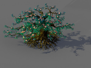 9 thousand years of flat peach tree 3D Модель