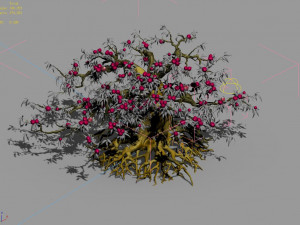9 thousand years of flat peach tree Modelo 3D