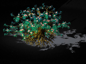 9 thousand years of flat peach tree Modelo 3D