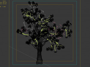 baifenglin-wood-pear 03 3D Model
