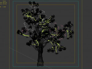 baifenglin-wood-pear 03 3D Model