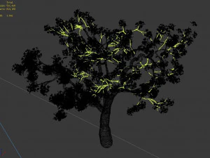 baifenglin-wood-pear 04 3D Model
