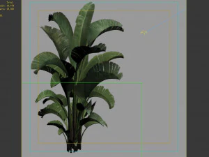 hundred forests-plants-banana tree 01 3D Model