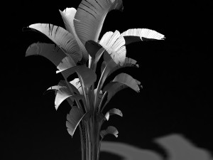 hundred forests-plants-banana tree 23 Modello 3D