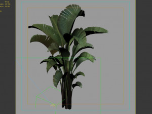 hundred forests-plants-banana tree 23 Modello 3D