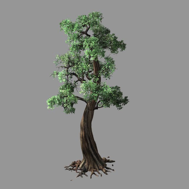 hundred forests-plants-cypress 3Dモデル .c4d .max .obj .3ds .fbx .stl .blend