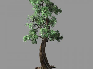 cento foreste-piante-cipressi Modello 3D