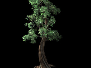 hundred forests-plants-cypress 3Dモデル